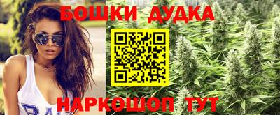 шишки Бузулук