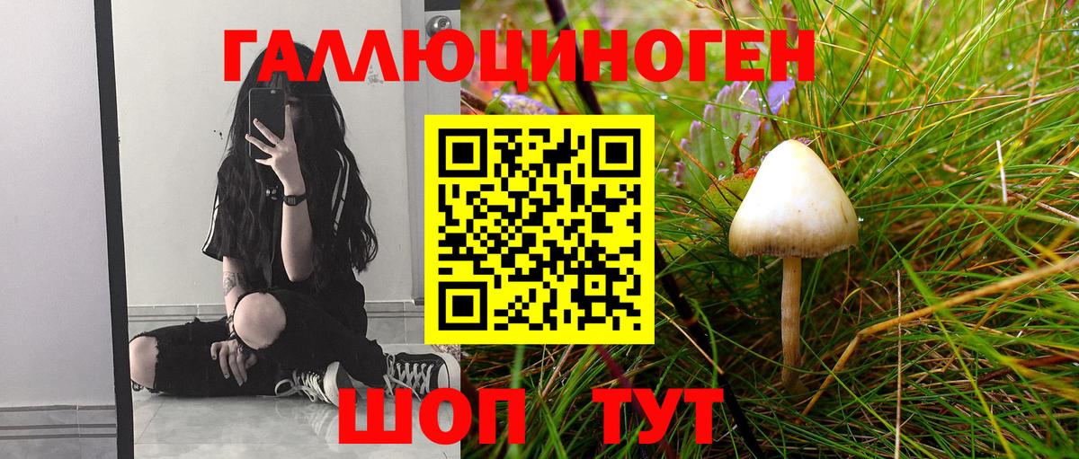 Приморско-Ахтарск  Галлюциногенные грибы Cubensis  Вход с VPN 